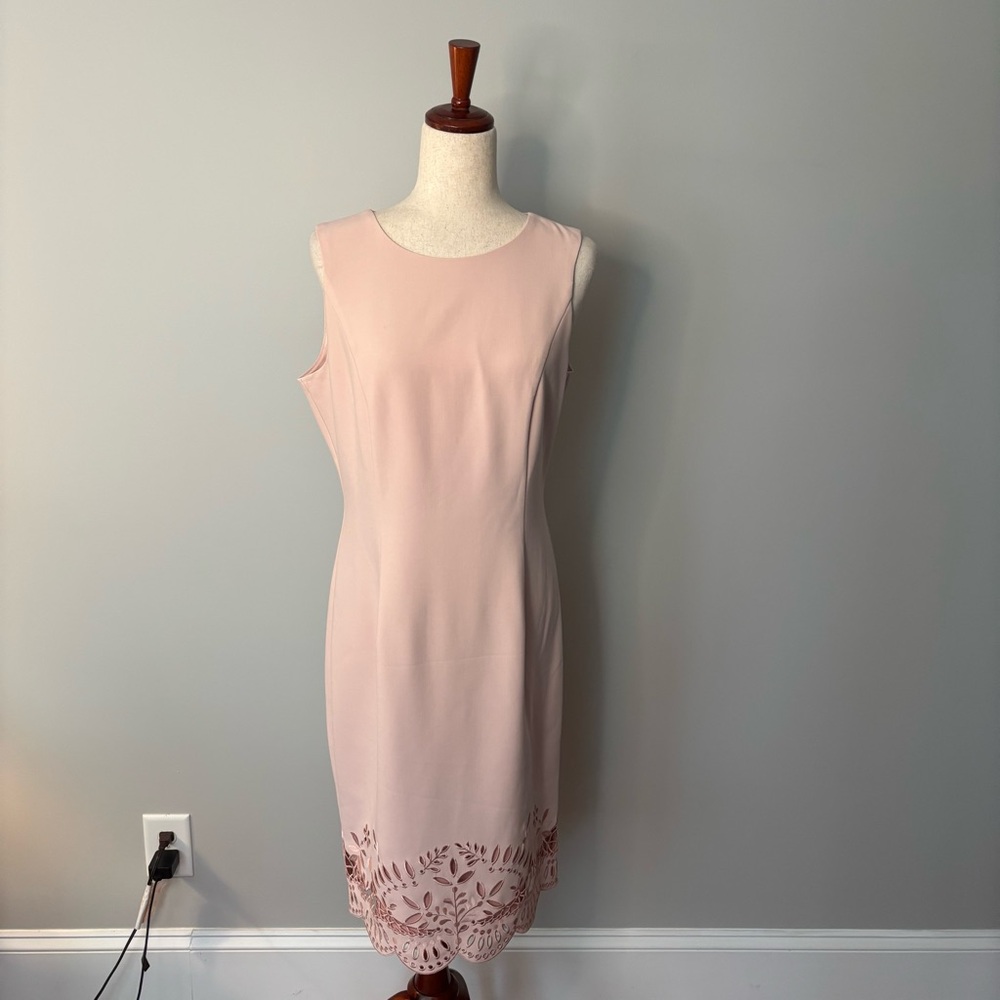 (NWT $170) White House Black Market Blush Dress size 10
MY